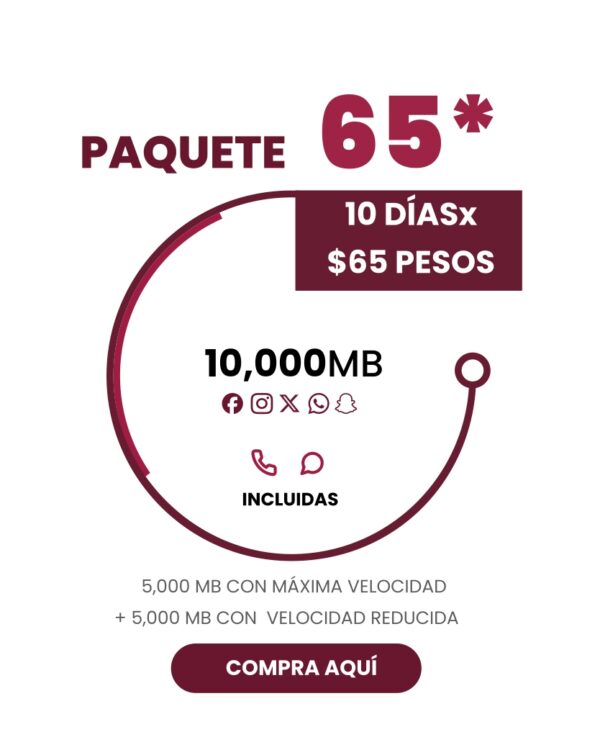 Paquete 65